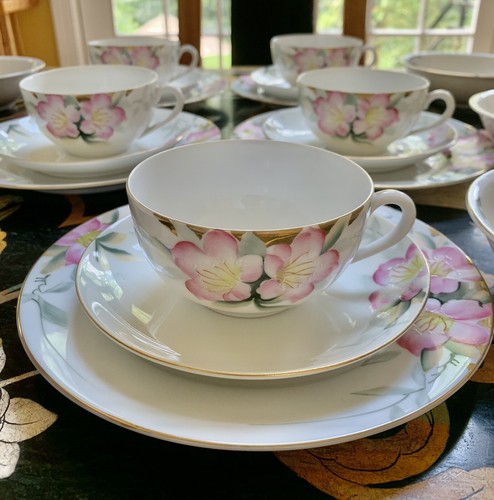 Noritake china 19322 azalea - china,